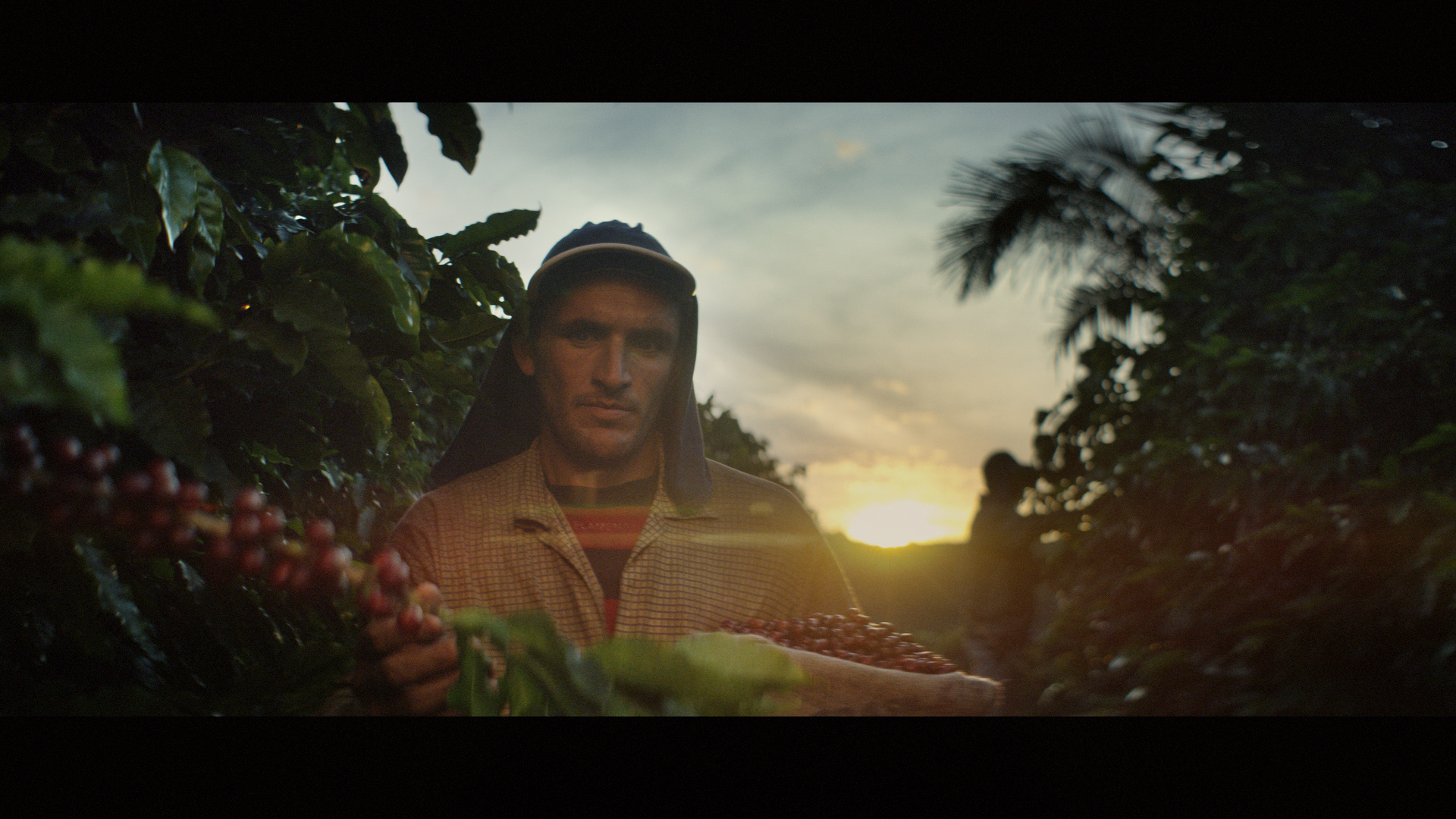 BKI_Image1_Brazil_Kaffe_Import_14_35s_32822.mov.01_00_08_24.Still002