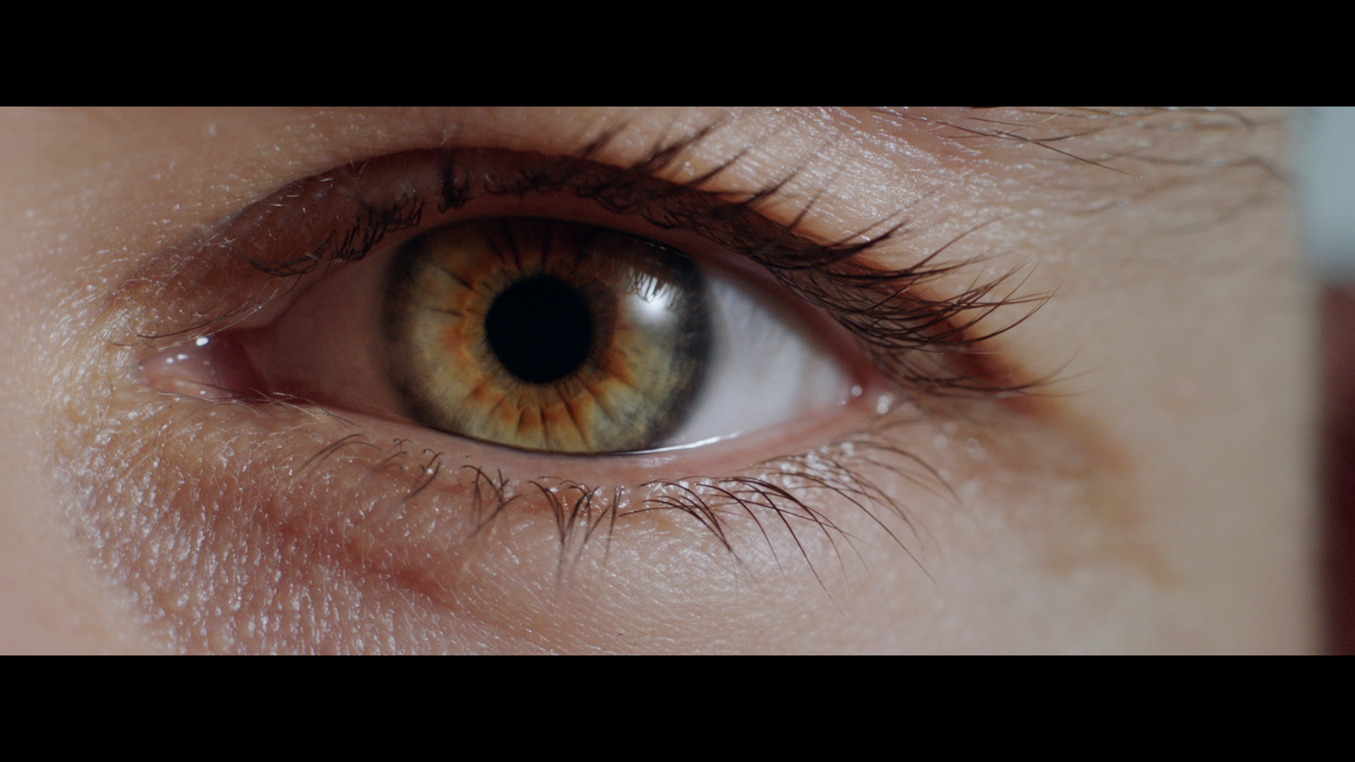 DynAudio_Xeo2_Produktfilm_2015_15_48s_UK_40562.mov.00_00_21_18.Still004
