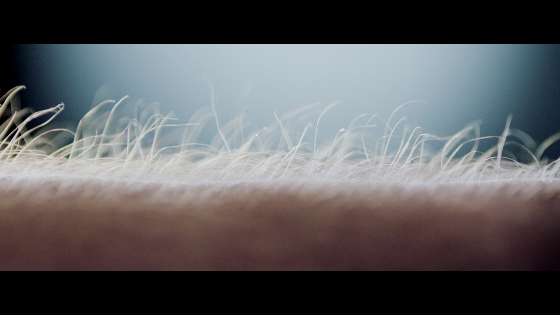 DynAudio_Xeo2_Produktfilm_2015_15_48s_UK_40562.mov.00_00_24_05.Still005
